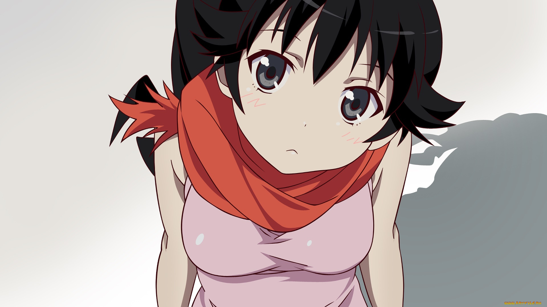 , bakemonogatari, , , 